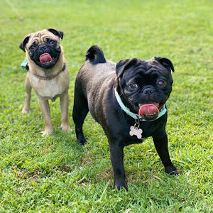 Meet your Posher, Erin flage